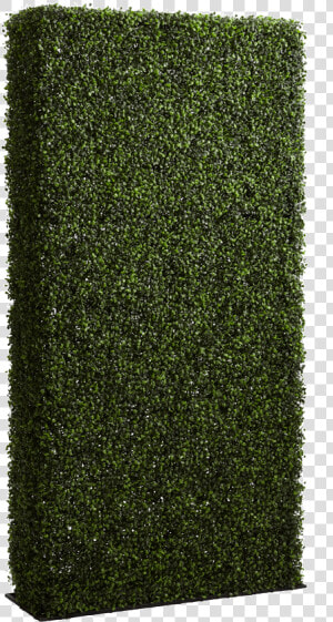 Hedge  HD Png Download