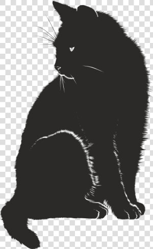 Free Clipart Of A Black And White Sitting Cat   Black Cat Graphic  HD Png Download