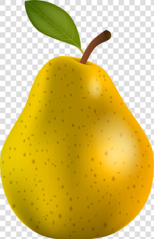 Pear Clipart Different Kind Fruit   Pears Images Clip Art  HD Png Download