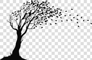 Duckbill Books And Publications Pvt Ltd   Tree Blowing In The Wind Silhouette  HD Png Download