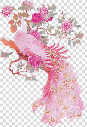 A Pink Peacock Perched In A   Pink Peacock Art  HD Png Download