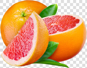 Grapefruit Png Image   Grapefruit Png  Transparent Png