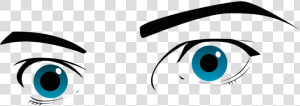 Ojos  Ojos Azules  Las Cejas  Cejas  Ver  Observación   Ojos Reales En Png  Transparent Png