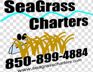 Seagrass Charters   Graphic Design  HD Png Download