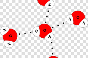 Water Molecule 4 Hydrogen Bonds   Png Download   Water Molecule 4 Hydrogen Bonds  Transparent Png