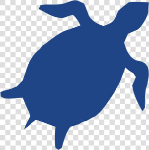 Sea Turtle Cobalt Blue Silhouette Clip Art   Turtle Silhouette Blue Png  Transparent Png