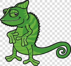 Cartoon Chameleon Png  Transparent Png