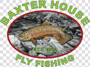 Baxter House Fly Fishing Logo   Trout  HD Png Download