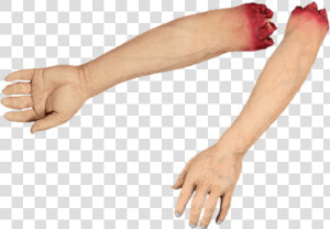 Severed Arm Png  Transparent Png