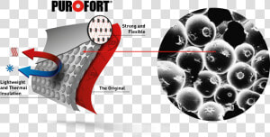 Purofort Technology  HD Png Download