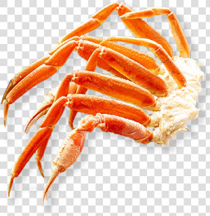 Snow Crab   Freshwater Crab  HD Png Download