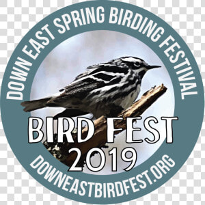 Bird Fest Logo 2019   House Sparrow  HD Png Download