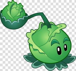 Cabbage Clipart Cabbage Plant   Character Plants Vs Zombies  HD Png Download