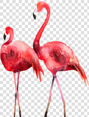 Flamingo Poster Printmaking Illustration   Flamingo Painting Png  Transparent Png