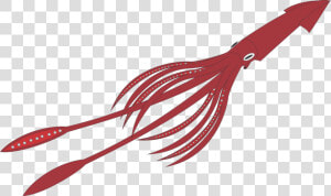 Giant Squid Transparent Background   Giant Squid No Background  HD Png Download