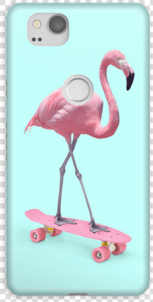 Flamingo On Skateboard Case Pixel   Flamingo Skate  HD Png Download