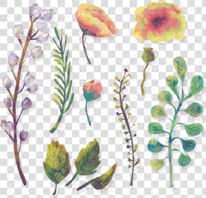 Vector Free Foliage Vector   Watercolor Floral Water Png  Transparent Png