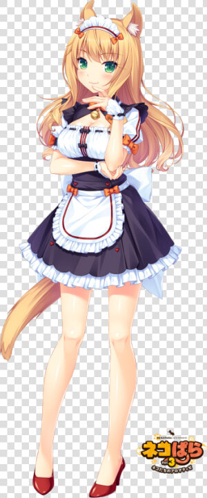 Nekopara Maple Maid   Png Download   Maple Nekopara  Transparent Png