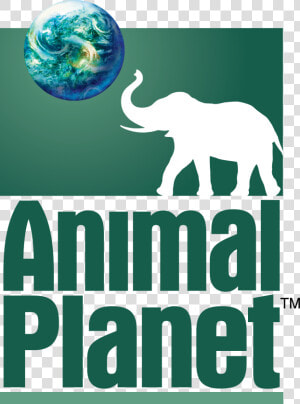 Dream Logos Wiki   Logo De Animal Planet  HD Png Download