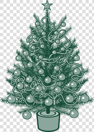 Christmas Tree  X mas  Christmas  Fir Tree  Tree  Green   Christmas Tree Vector  HD Png Download