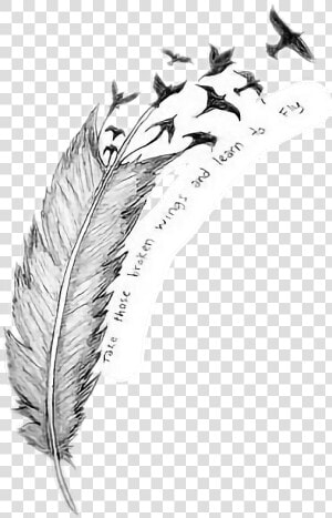   Pluma  aves  tumblr   Everything That  39 s Broke Leave It To The Breeze Meaning  HD Png Download