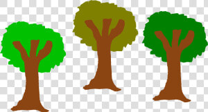 Jpg Free Stock Trees Clipart   Clip Art Of 3 Trees  HD Png Download