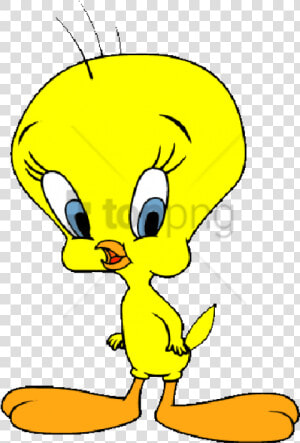 Free Png Download Tweety Bird Vector With Transparent   Tweety Bird Cartoon  Png Download