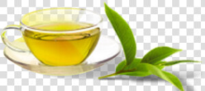 Eco Valley Organic Green Tea   Darjeeling Tea  HD Png Download