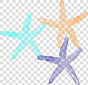 Starfish Svg Clip Arts   Pink Starfish Transparent Background  HD Png Download