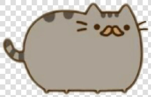 Transparent Pusheen Png   Cat Picture Cartoon Pusheen  Png Download