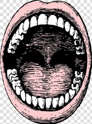 Mouth  Human  Teeth  Open  Tongue  Closeup  Cartoon   Open Mouth Drawing  HD Png Download