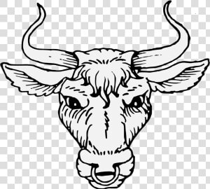 Transparent Bull Horns Png   Bull Head Cabossed  Png Download