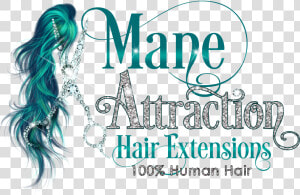 Mane Attraction Hair Extensions Logo On Transparent   Calligraphy  HD Png Download