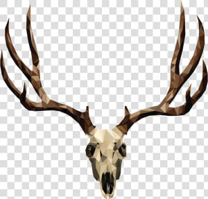 Mule Deer Skull Drawing   Deer Antler  HD Png Download