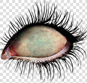  ftestickers  eye  eyes  zombie  zombieeyes  undead   Zombie Eyes Transparent  HD Png Download