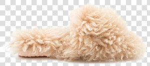 Cozy Slipper By Inuikii   Plush  HD Png Download