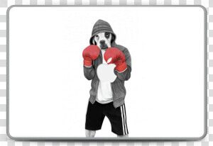 Street Boxer Skin Macbook Pro 15”   Amateur Boxing  HD Png Download