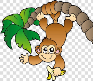 Cute Monkey Clip Art Cute Monkey Clipart Cute   Monkey Hanging From A Tree  HD Png Download