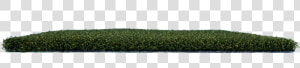 Hedge  HD Png Download