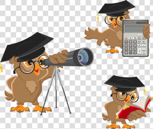 Astronomer Cartoon Clip Art   Owl Astronomer  HD Png Download