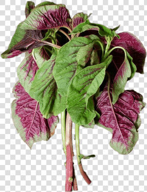 En Choy   Chinese Purple Spinach  HD Png Download