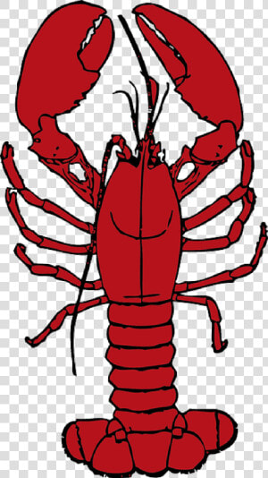 Cartoon  Ocean  Lobster  Crab  Sea  Crustaceans  Hermit  HD Png Download