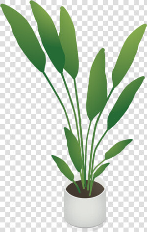 Isometric Plant Png  Transparent Png