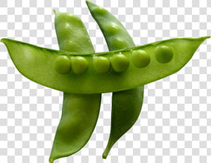 Snow Peas   Snow Peas Png  Transparent Png