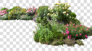 Transparent Background Flower Garden Png   Transparent   Flower Landscaping Png  Png Download