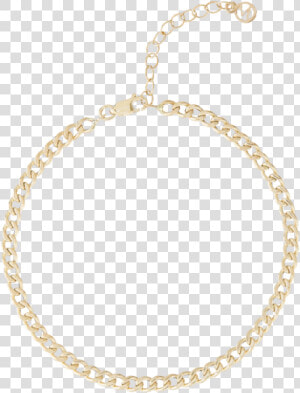 Collier Etrangleur Pour Chien  HD Png Download