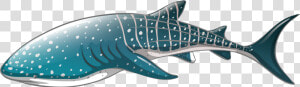 Whale Shark Png Clipart Whale Shark Icon Png   Whale Shark Vector Png  Transparent Png