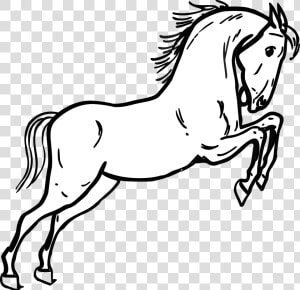 Horse Clipart Black And White   Mustang Horse Coloring Page  HD Png Download