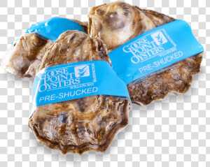 Goose Point Oysters Whole  HD Png Download