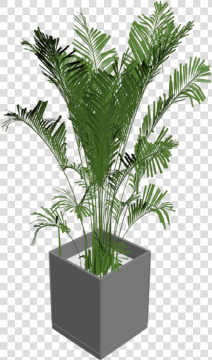 Green Indoor Plants Png   3d Plant Png  Transparent Png